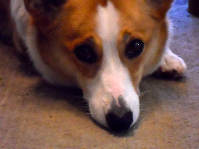 Boomer under the weather