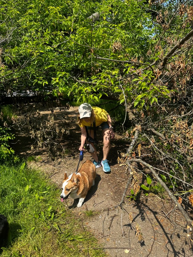 Ducking Under successfully